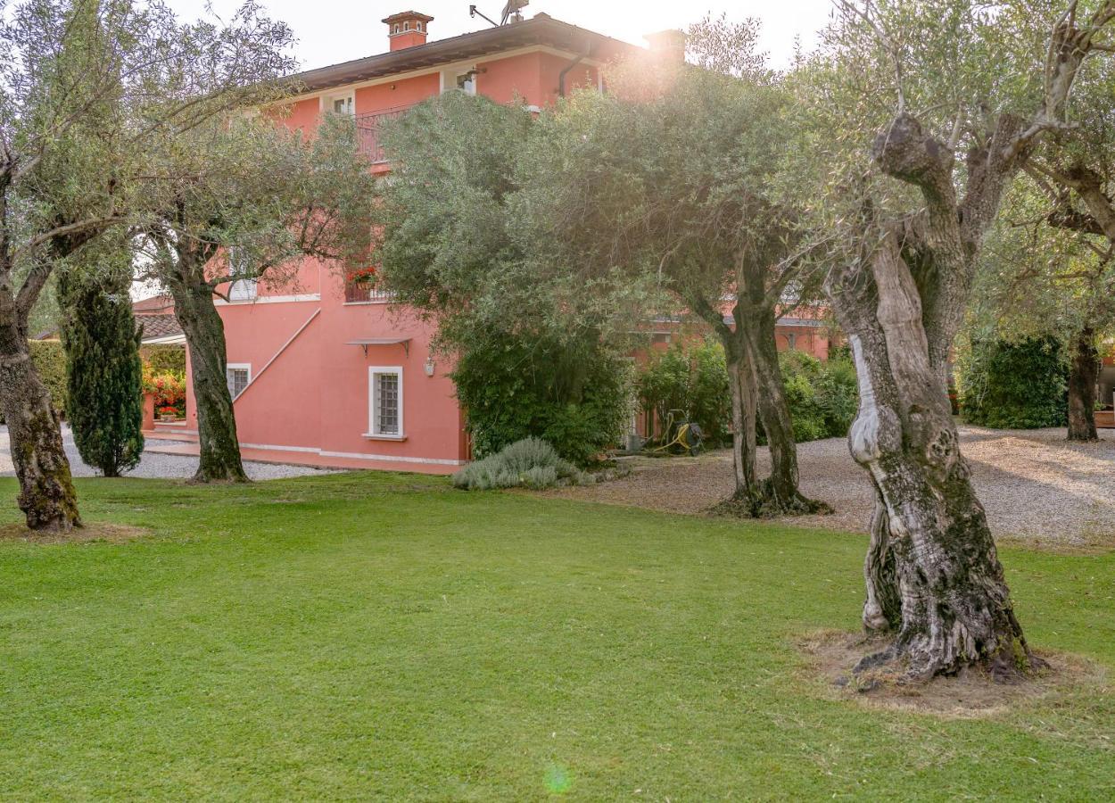 In Versilia Seravezza Kültér fotó