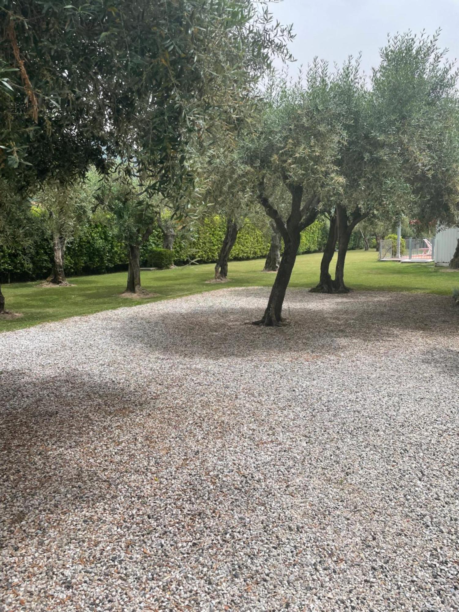 In Versilia Seravezza Kültér fotó